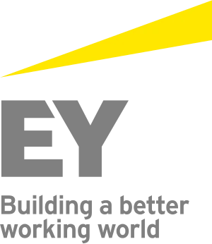 logo: EY Strategy and Transactions